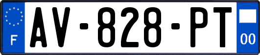 AV-828-PT