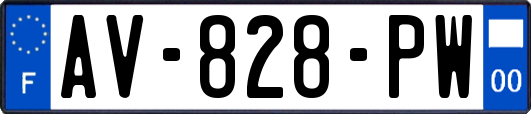 AV-828-PW