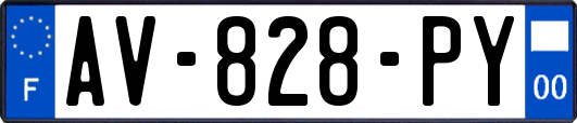 AV-828-PY