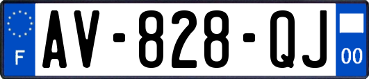 AV-828-QJ
