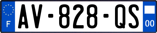 AV-828-QS