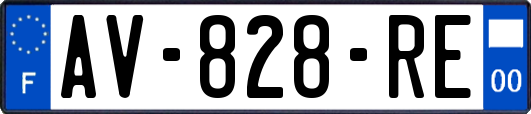 AV-828-RE