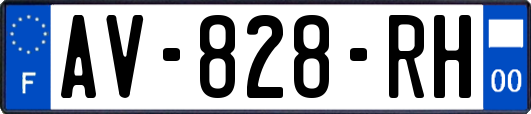 AV-828-RH
