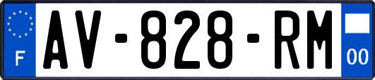 AV-828-RM