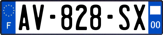 AV-828-SX