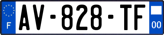 AV-828-TF