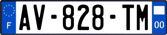 AV-828-TM