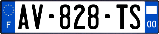 AV-828-TS