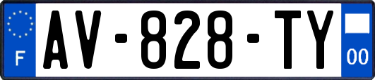 AV-828-TY