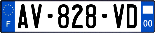 AV-828-VD