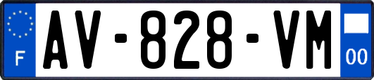 AV-828-VM