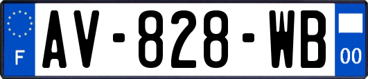 AV-828-WB