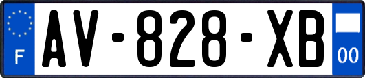 AV-828-XB