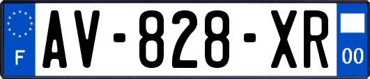 AV-828-XR