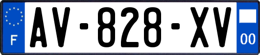 AV-828-XV