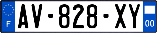 AV-828-XY