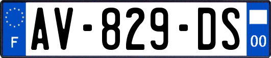 AV-829-DS