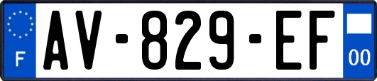 AV-829-EF