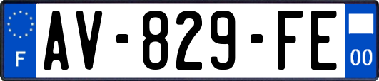 AV-829-FE