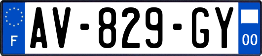 AV-829-GY