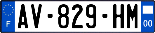 AV-829-HM