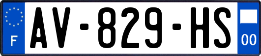 AV-829-HS