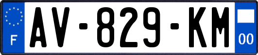 AV-829-KM