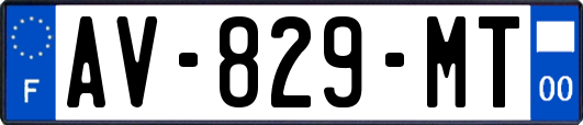 AV-829-MT