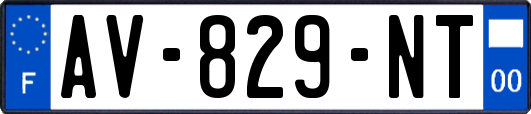 AV-829-NT