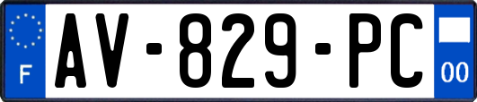 AV-829-PC