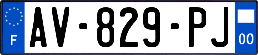 AV-829-PJ