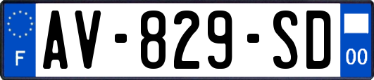 AV-829-SD
