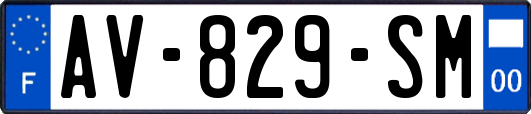 AV-829-SM