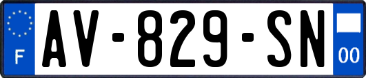 AV-829-SN