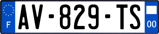 AV-829-TS