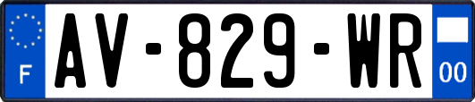AV-829-WR
