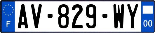 AV-829-WY