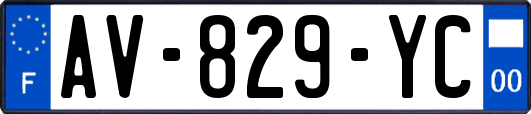 AV-829-YC