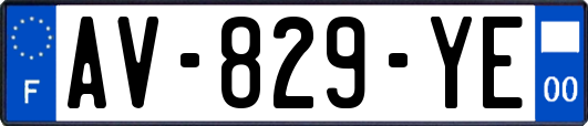 AV-829-YE