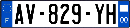AV-829-YH