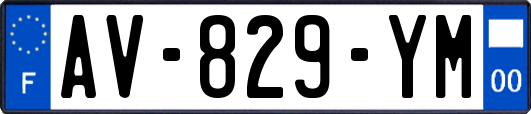 AV-829-YM