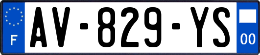 AV-829-YS