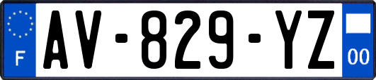 AV-829-YZ