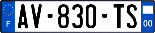 AV-830-TS