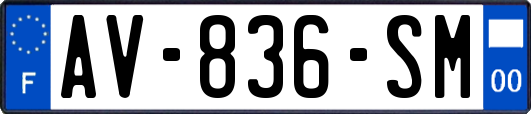 AV-836-SM