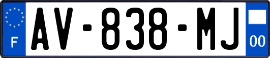 AV-838-MJ