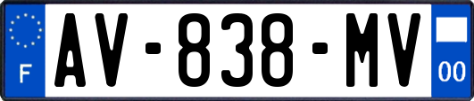 AV-838-MV