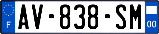 AV-838-SM
