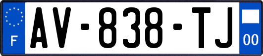 AV-838-TJ