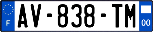 AV-838-TM